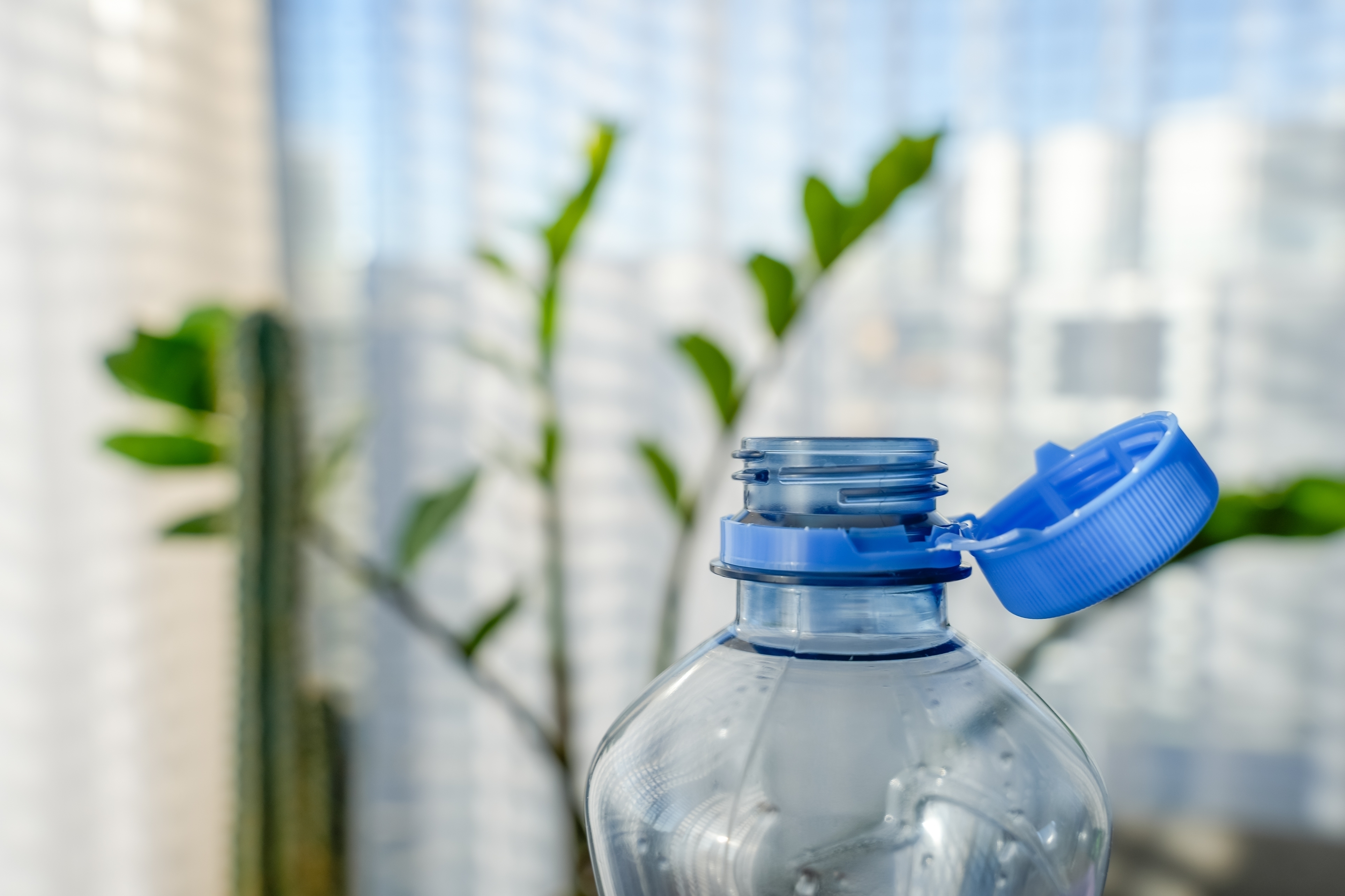 Sustainability in Design
