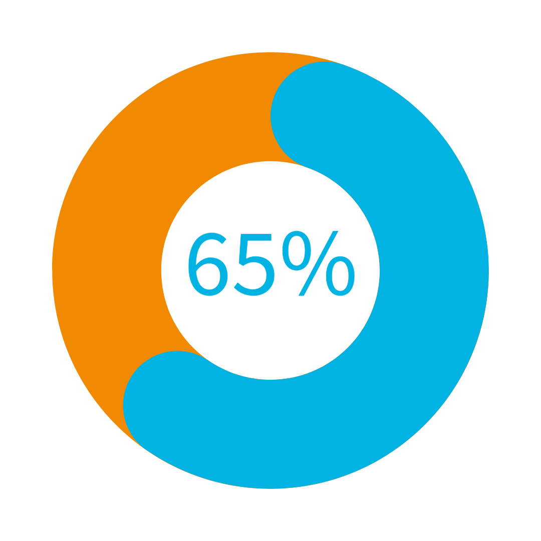 65% process PE (HDPE and LDPE)