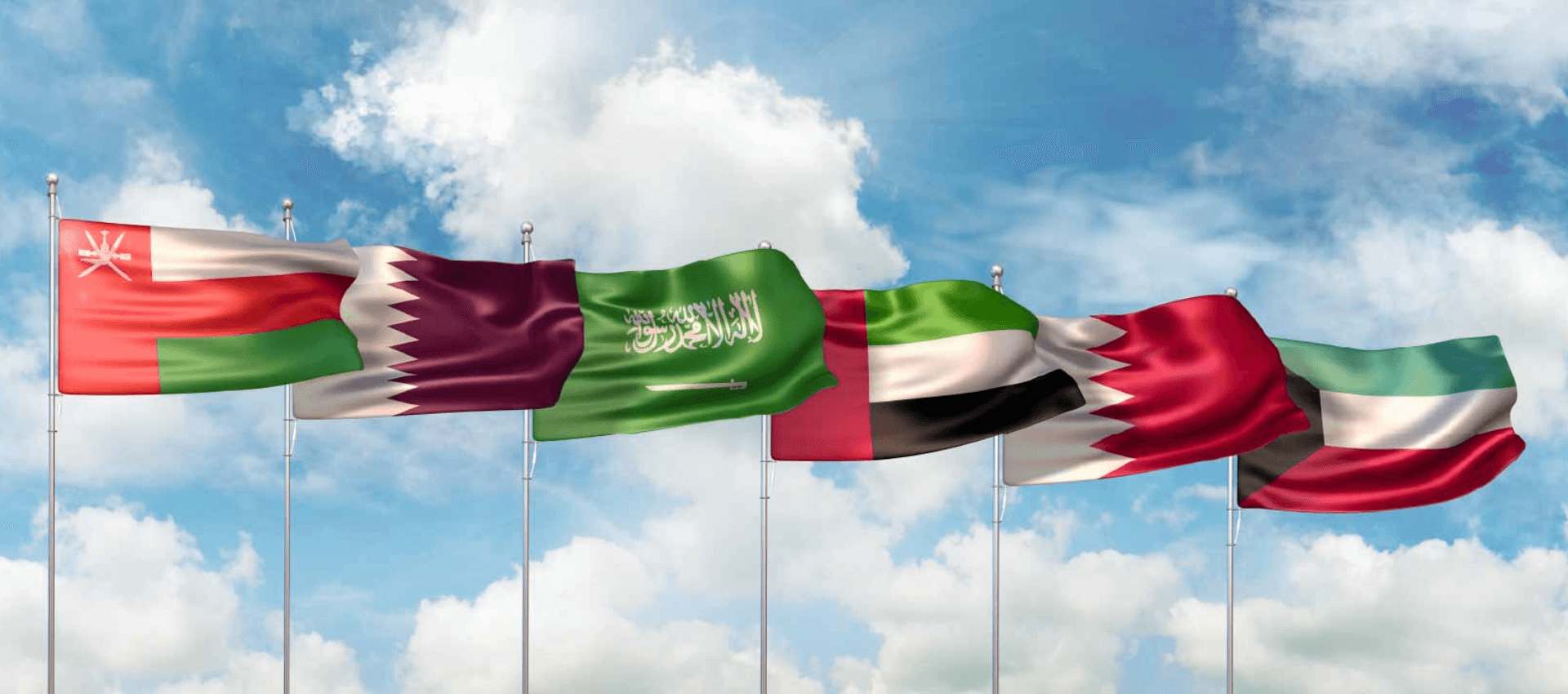 The GCC flag symbols