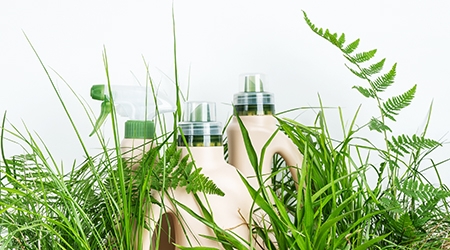 Bottles in green plants