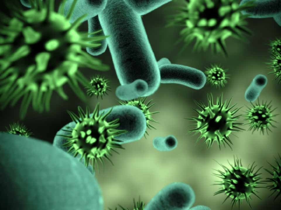 Green microbes