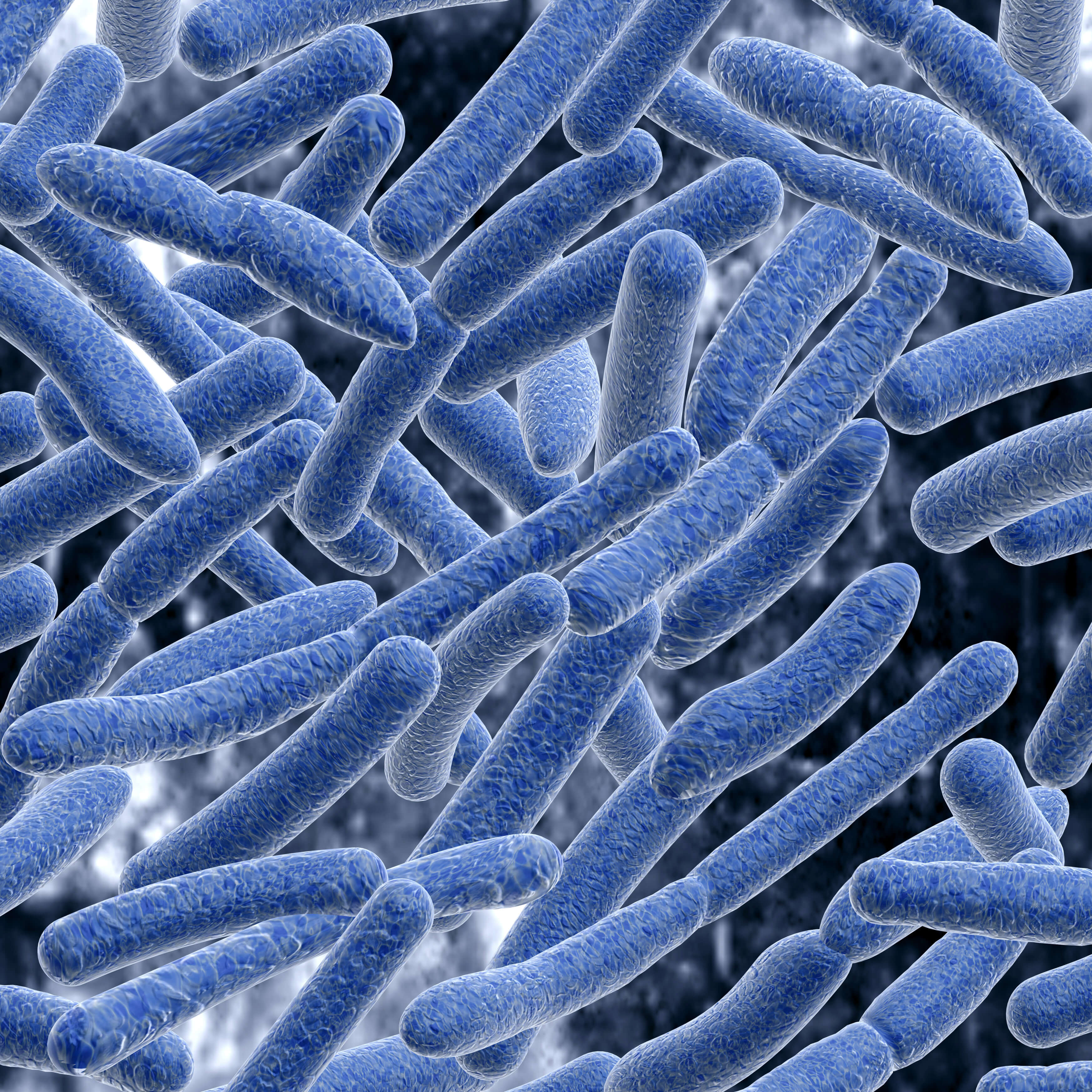 Providing plastics with biocidal protection